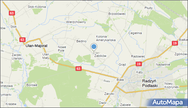 mapa Żabików, Żabików gmina Radzyń Podlaski na mapie Targeo